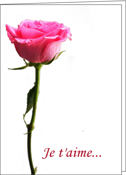 je t'aime